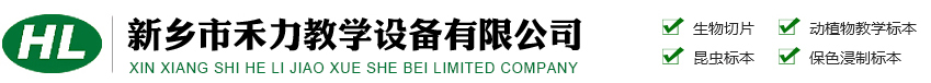 華中建科（北京）工程科技有限公司